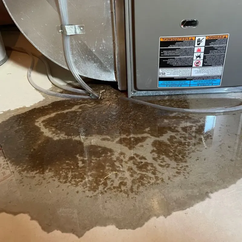 Pipe Burst and Leak Restoration in Alamosa East, CO